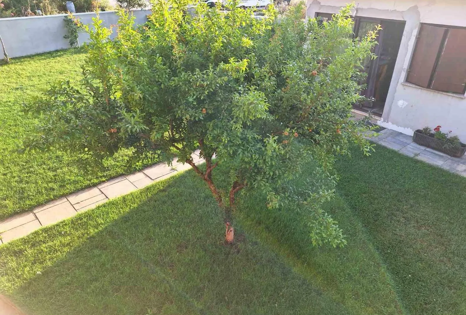 Apartments Ines Pula